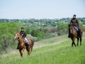 T4T2015-163