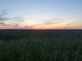 20160601_213059