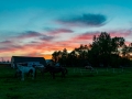 20170526-DSC_0160