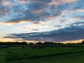 20170530-DSC_0704