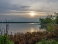 20180524-DSC_0643