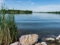 20180528-DSC_1114
