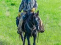 20190523-DSC_0493