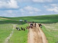 20190523-DSC_0535