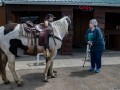 20190523-DSC_0598
