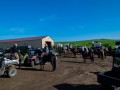 20190525-DSC_0661