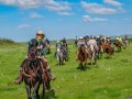 20190525-DSC_0697