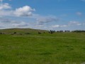 20190525-DSC_0724