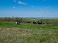 20190525-DSC_0765
