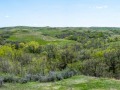 20190525-DSC_0797-Pano