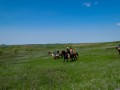 20190525-DSC_0802