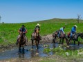 20190525-DSC_0829