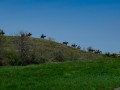 20190525-DSC_0831