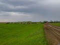 20190526-DSC_0900