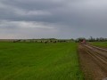 20190526-DSC_0901
