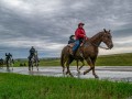20190526-DSC_0923