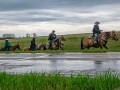 20190526-DSC_0932