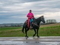 20190526-DSC_0933