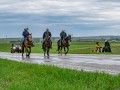 20190526-DSC_0934