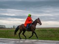20190526-DSC_0962