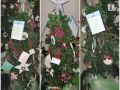 0Tree2-Living-Donor-and-Transplant-Recipents